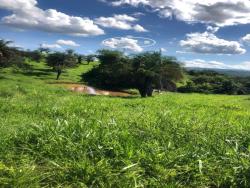 #1746 - Fazenda para Venda em Iporá - GO
