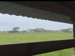 Fazenda para Venda em Brasília - 4