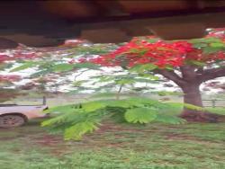 Fazenda para Venda em Brasília - 5