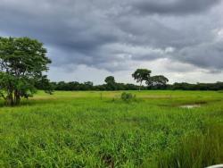 #1750 - Fazenda para Venda em Brasília - DF