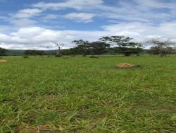 Venda em Setor Central - Ivolândia