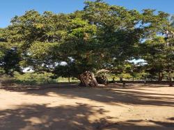 #1767 - Chácara para Venda em Israelândia - GO