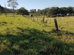 Chácara para Venda em Israelândia - 4