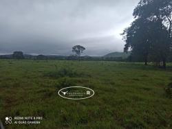#1769 - Fazenda para Venda em Israelândia - GO