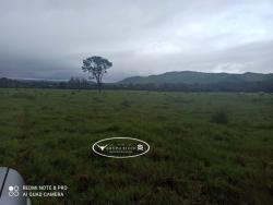 #1769 - Fazenda para Venda em Israelândia - GO