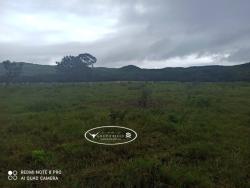 Fazenda para Venda em Israelândia - 5