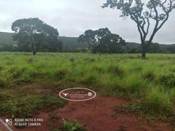 #1769 - Fazenda para Venda em Israelândia - GO