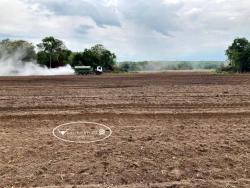 Fazenda para Venda em Gurupi - 4