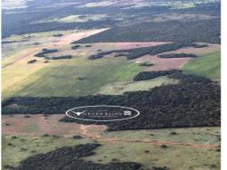 #1777 - Fazenda para Venda em Gurupi - TO