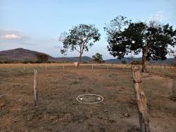 #1780 - Fazenda para Venda em Itapirapuã - GO