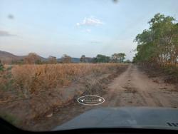 Fazenda para Venda em Itapirapuã - 4