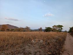 Fazenda para Venda em Itapirapuã - 5