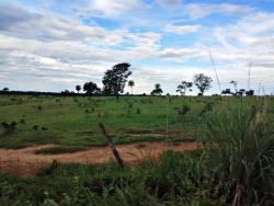 #1784 - Fazenda para Venda em Jaupaci - GO