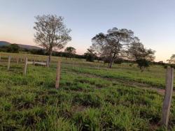 #1867 - Fazenda para Venda em Amaralina - GO