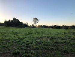 #1867 - Fazenda para Venda em Amaralina - GO