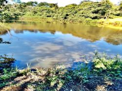 Venda em zona rural - Itauçu