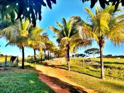 Venda em zona rural - Itauçu
