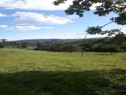 #1916 - Fazenda para Venda em Córrego do Ouro - GO