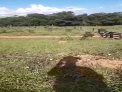 #1916 - Fazenda para Venda em Córrego do Ouro - GO