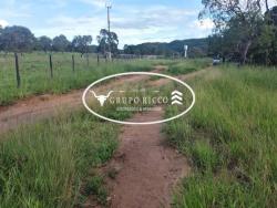 #2079 - Fazenda para Venda em Fazenda Nova - GO