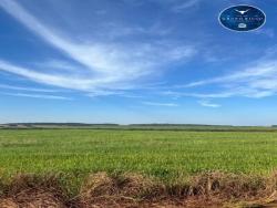 #2091 - Fazenda para Venda em Água Boa - MT