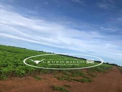 #2136 - Fazenda para Venda em Canabrava do Norte - MT