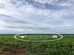 #2136 - Fazenda para Venda em Canabrava do Norte - MT