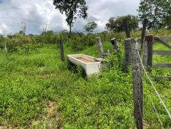 #2184 - Fazenda para Venda em Arraias - TO