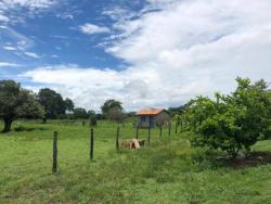 Venda em zona rural - Arraias
