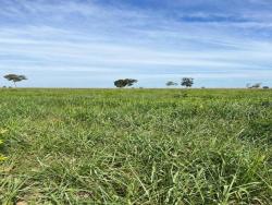 #2297 - Fazenda para Venda em Nova Crixás - GO