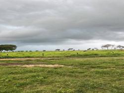 #2297 - Fazenda para Venda em Nova Crixás - GO