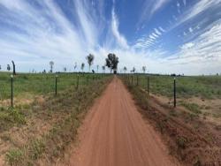 Venda em ZONA RURAL - Nova Crixás
