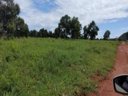 #2307 - Fazenda para Venda em Montes Claros de Goiás - GO