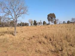 #2307 - Fazenda para Venda em Montes Claros de Goiás - GO