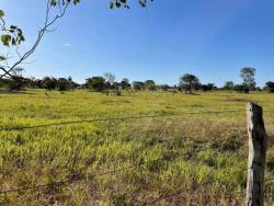 #2329 - Fazenda para Venda em Nova Crixás - GO