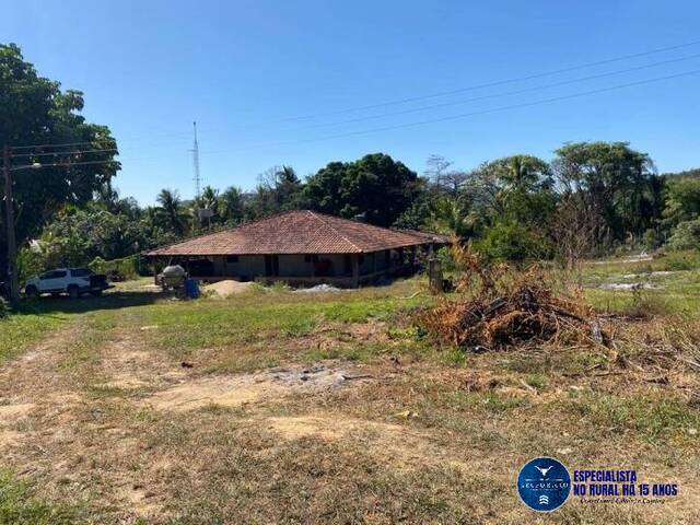 #2337 - Fazenda para Venda em Goianésia - GO