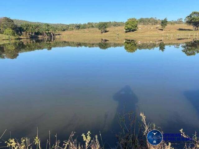 Venda em zona rural - Goianésia