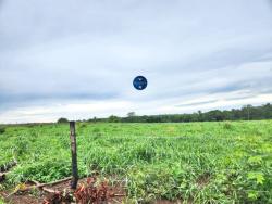 #2338 - Fazenda para Venda em Araguaçu - TO
