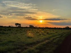 Venda em ZONA RURAL - Nova Crixás