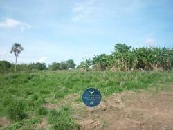 #2523 - Fazenda para Venda em Amaralina - GO