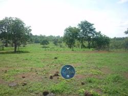 #2523 - Fazenda para Venda em Amaralina - GO