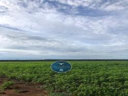 #2545 - Fazenda para Venda em Canabrava do Norte - MT