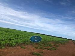 #2545 - Fazenda para Venda em Canabrava do Norte - MT