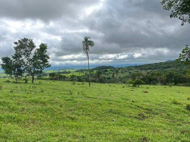 Chácara para Venda em São Luís de Montes Belos - 5