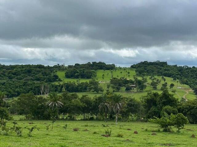 #2553 - Chácara para Venda em São Luís de Montes Belos - GO