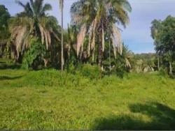 Chácara para Venda em Iporá - 4