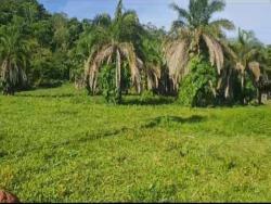 Chácara para Venda em Iporá - 5