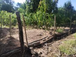 #2696 - Chácara para Venda em Israelândia - GO