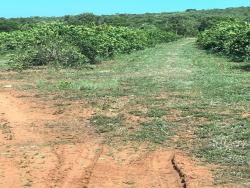 #2712 - Fazenda para Venda em Januária - MG