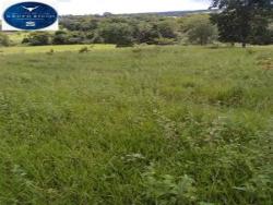 Venda em zona rural - Anicuns